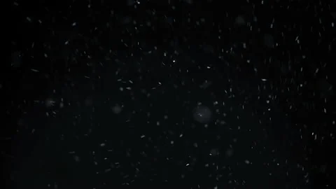Real falling snow isolated on black background Stock Footage 141885216