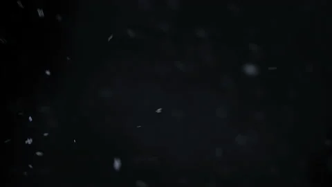 Real falling snow isolated on black background Stock Footage 141885264