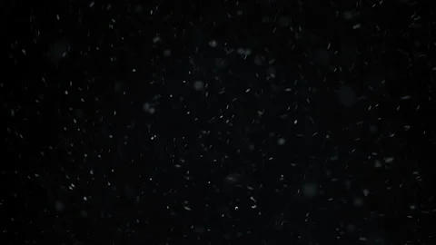 Real falling snow isolated on black background Stock Footage 142414038