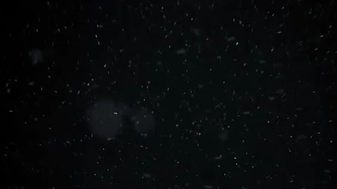 Real falling snow isolated on black background Stock Footage 142414152