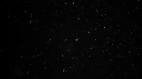 Real falling snow isolated on black background Stock Footage 142414278