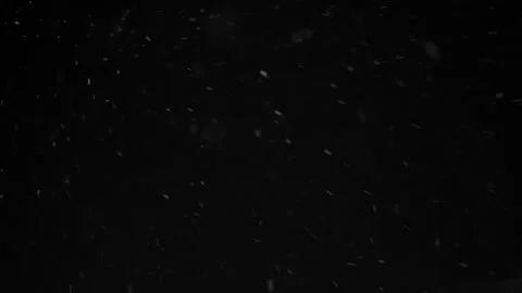 Real falling snow isolated on black background Stock-Footage 143516581