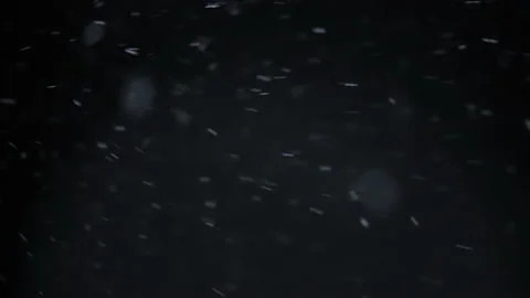 Real falling snow isolated on black background Stock Footage 143516666