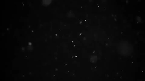 Real falling snow isolated on black background Stock Footage 143516672