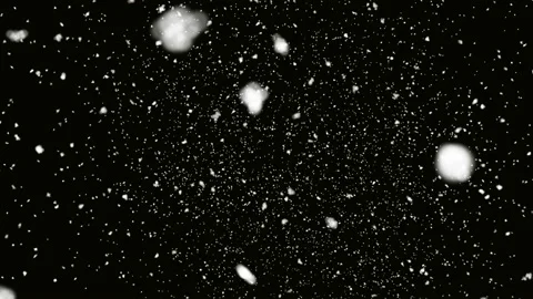 Real falling winter snow on a black background Stock Footage 163723378