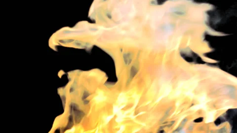 Real fire with alpha channel Stock-Footage 87229539