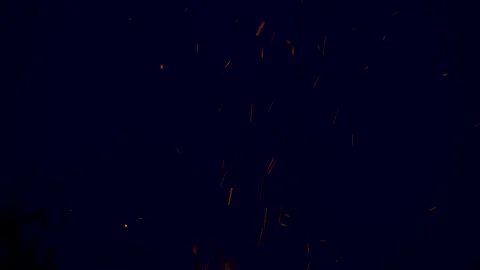 Real fire black background effect Stock-Footage 219327251