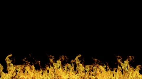 Real fire on a black background. Fire at the bottom of the screen Stock Footage 277298126