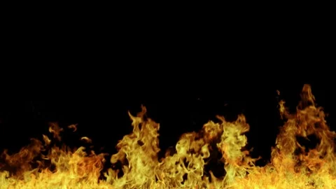 Real fire on a black background. Fire at the bottom of the screen Stock Footage 277298128