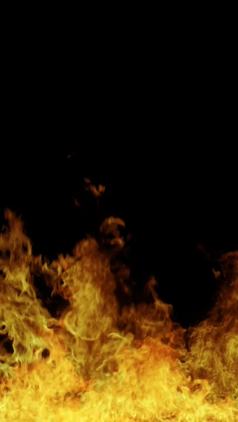 Real fire on a black background. Vertical video of fire Stock Footage 277298129