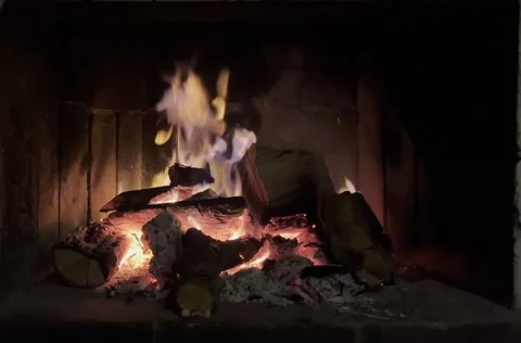Real fire burning wooden logs in fireplace with glowing embers Stock Footage 341998738