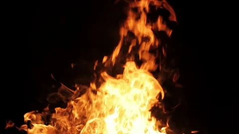 Real fire on close up on black background Stock Footage 87475025