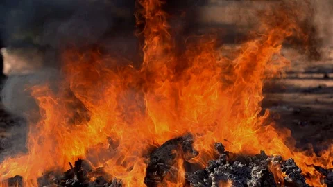 Real fire flame burning garbage to black smoke floating to air pollution Vídeos de archivo 100181719