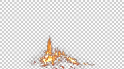 Real Fire Flame - Pre Keyed with Alpha Channel Stock Footage