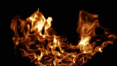 Real fire flame in slow motion isolated on black background Stock Footage 104816650