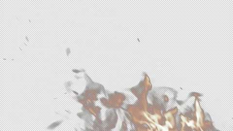 Real Fire Flame / Slow Motion / Transparent Background Stock Footage 143639088
