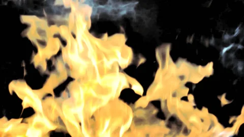 Real fire flames with alpha channel Stock Footage 87200858