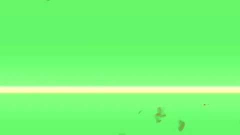 Real fire flames border isolated on green screen background for video editing Vidéo 341907549