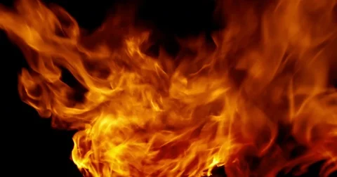 Real fire flames burn on black Video stock 73775741