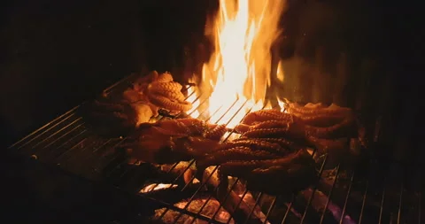 Real fire flames burn movement with branches of wood, fireplace in slow motion Stock Footage 131528692