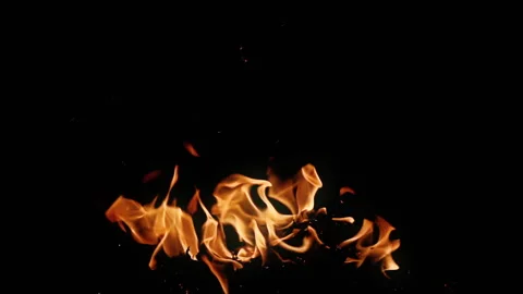 Real Fire Flames Burning on Black Background Stock Footage 346176118