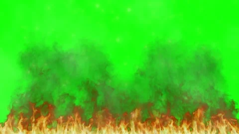 Real fire flames burning with rising smoke isolated on a green screen background Stock Footage 345303646