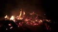 Real fire flames close up in the night HD Footage