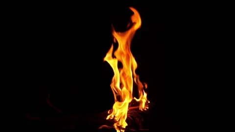 Real fire flames isolated on black background. 스톡 동영상 148605704