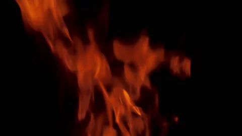 Real fire flames isolated on black background. 스톡 동영상 148606629