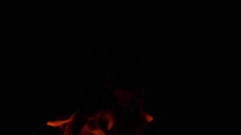 Real fire flames isolated on black background. Vídeos de archivo 148607384