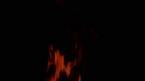 Real fire flames isolated on black background. 스톡 동영상 148607777