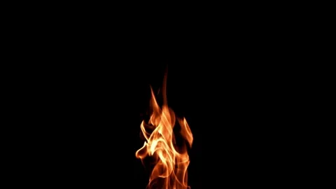 Real fire flames isolated on black background Video stock 336120428