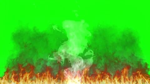 Real fire flames isolated on green screen background for video compositing and 스톡 동영상 341908076