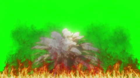 Real fire flames isolated on green screen background for video editing and Vídeos de archivo 342898732