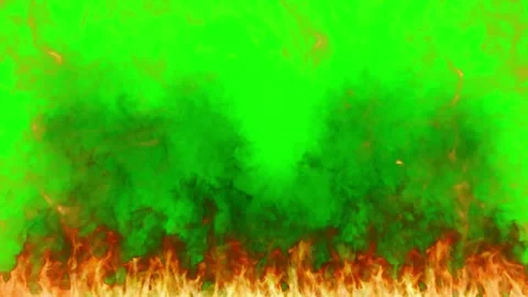 Real fire flames isolated on green screen background for video compositing and Video stock 344918916