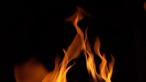 Real fire flaming background. Stock Footage 95189712