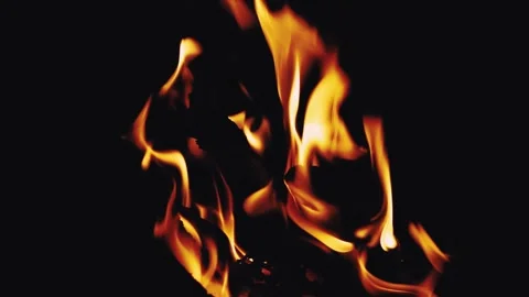 Real Fire Stock Footage 146071167