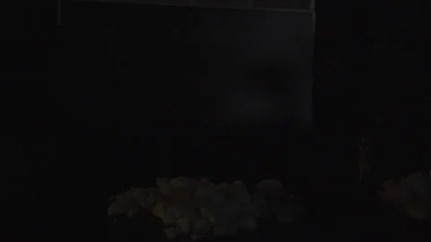 Real Fire ignition for vfx compositing S-log  T030 Vidéo 76235872