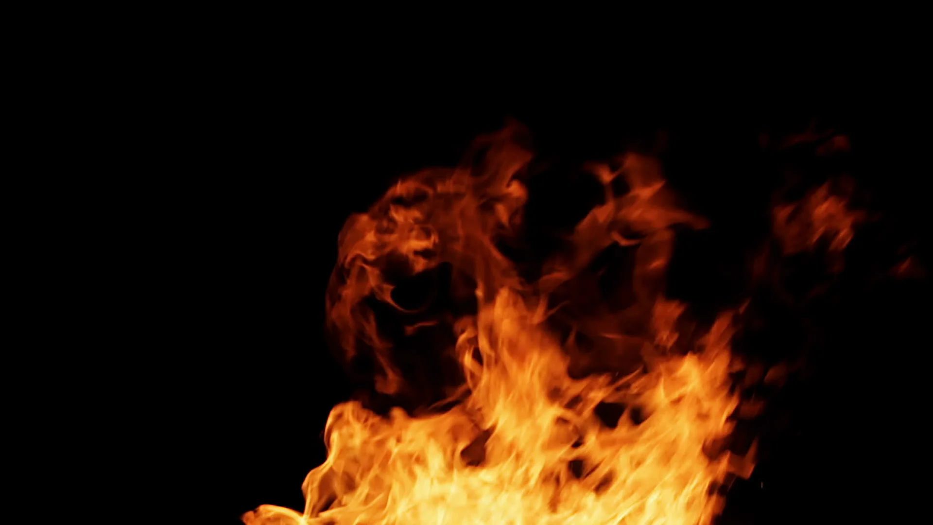 Real Fire Isolated On Black Background Loop Video Video 87554485