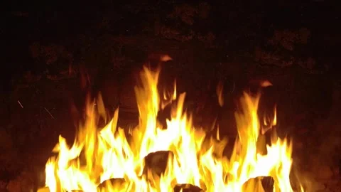 Real Fire Loop Stock Footage 251583590