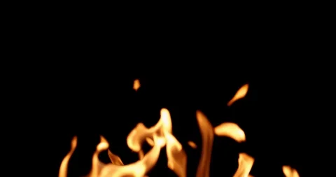Real Fire Set on Black Background Видео 122579694