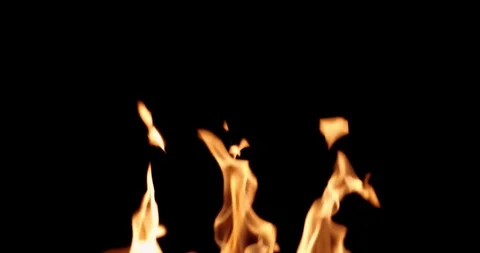Real Fire Set on Black Background Vidéo 122579738