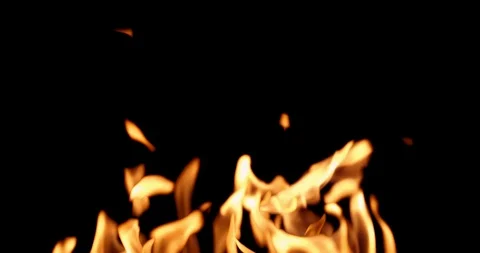 Real Fire Set on Black Background Stock Footage 122579741