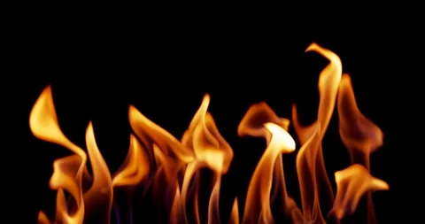 Real Fire Set on Black Background Vídeos de archivo 122579903