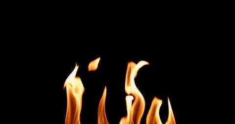 Real Fire Set on Black Background Stock Footage 122579960