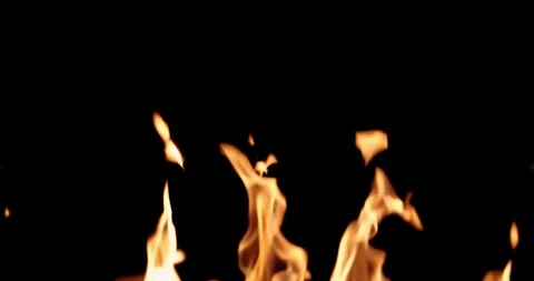 Real Fire Set on Black Background Видео 122580210