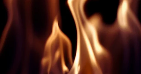 Real Fire Set on Black Background Видео 122580699