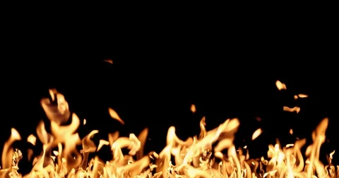 Real Fire Set on Black Background Vídeos de archivo 122580791