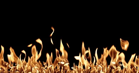 Real Fire Set on Black Background Vídeos de archivo 122580929