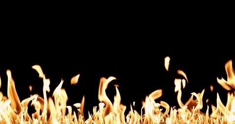 Real Fire Set on Black Background Stock Footage 122580998